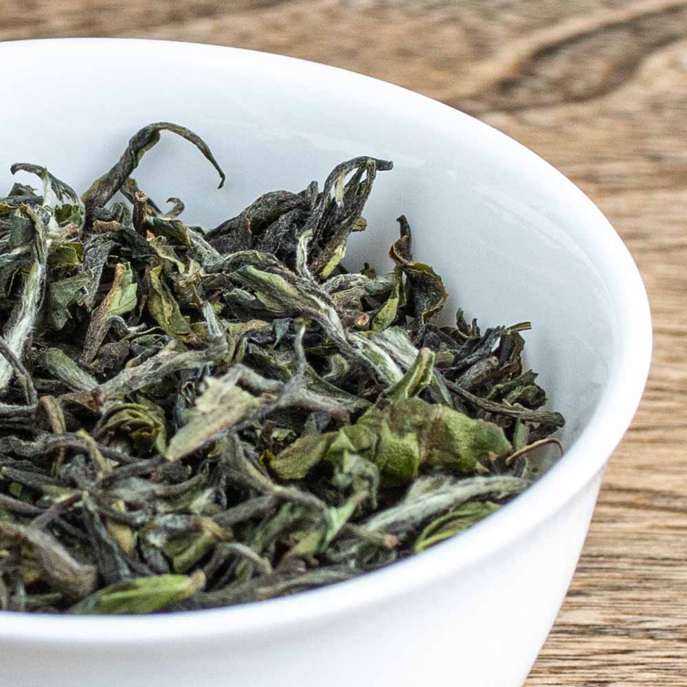 Darjeeling tea vs Assam tea comparison guide